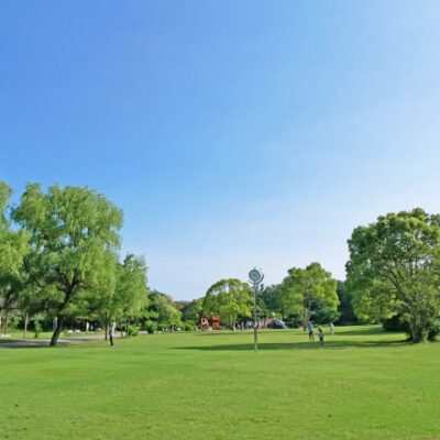休診のおしらせ